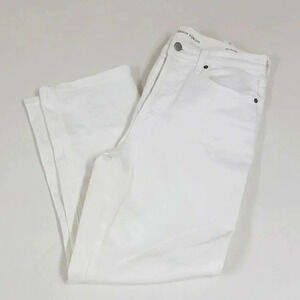 Aritzia Denim Forum The Arlo High Rise Straight 28L